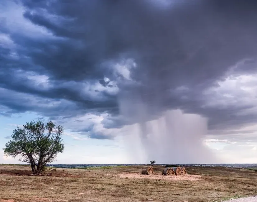 El Niño offers hope, but with real caveats (Image Credits: Pexels)