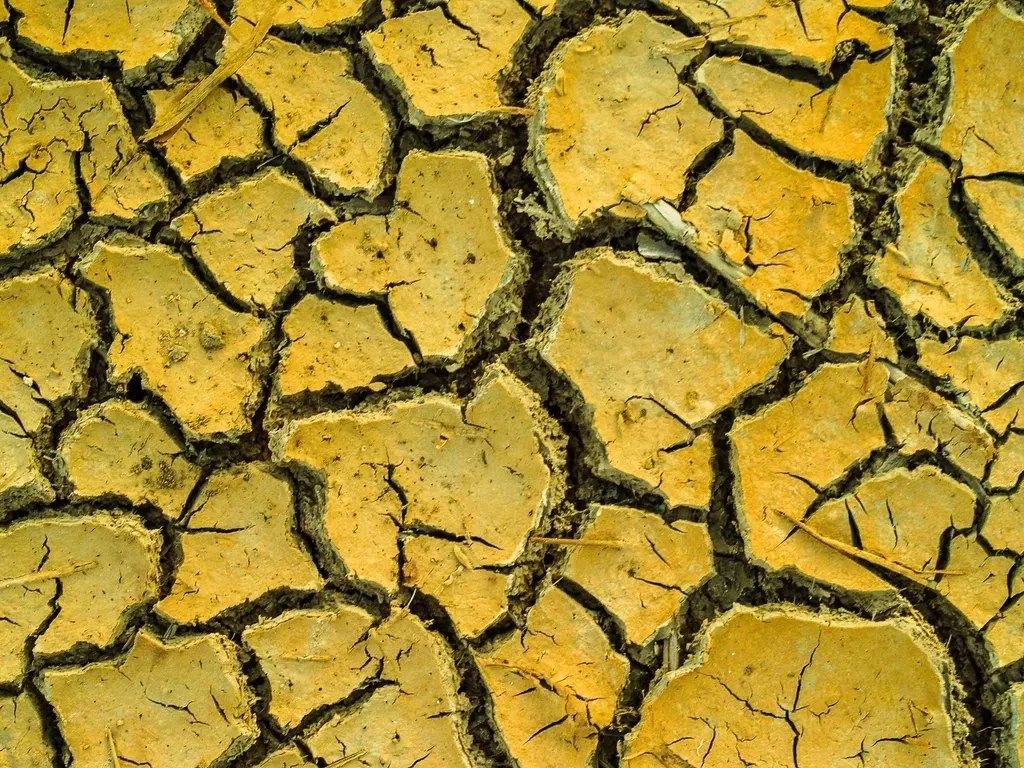 The Desert Southwest: Where Temperatures Reach the Extreme (Image Credits: Rawpixel)