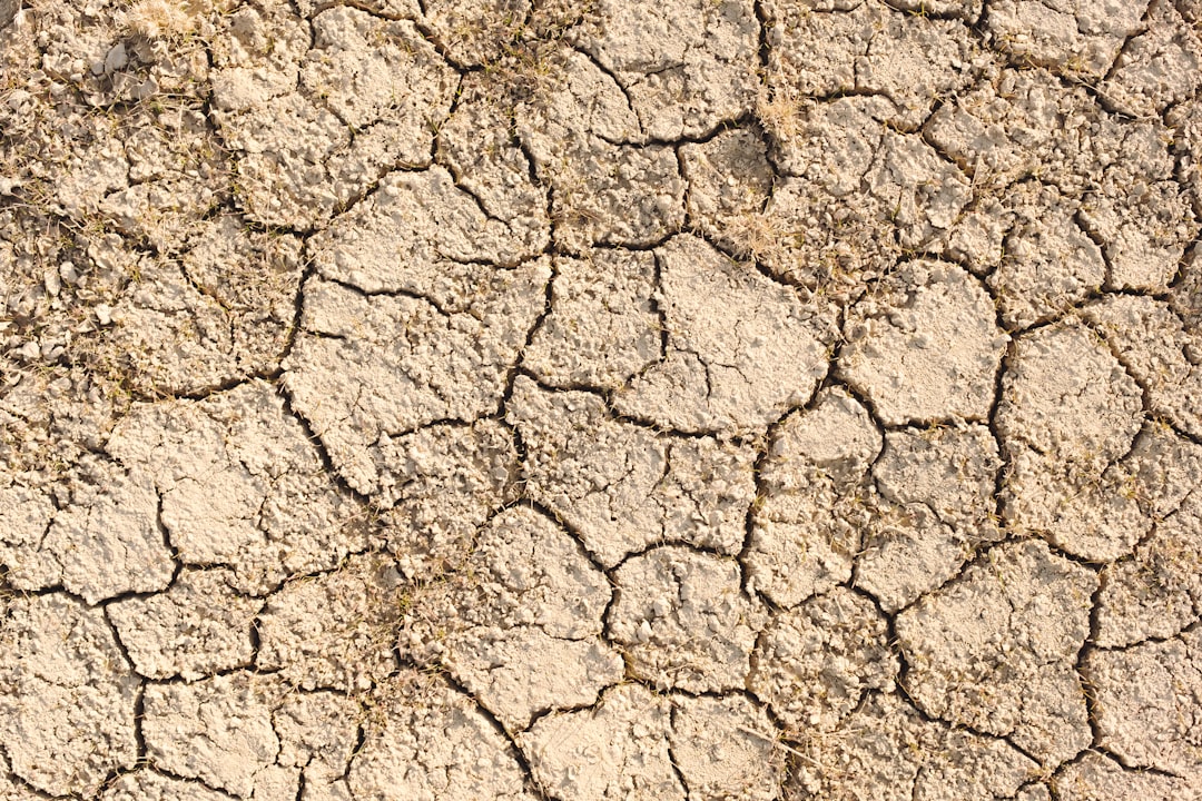 The Role of Climate Change (image credits: unsplash)