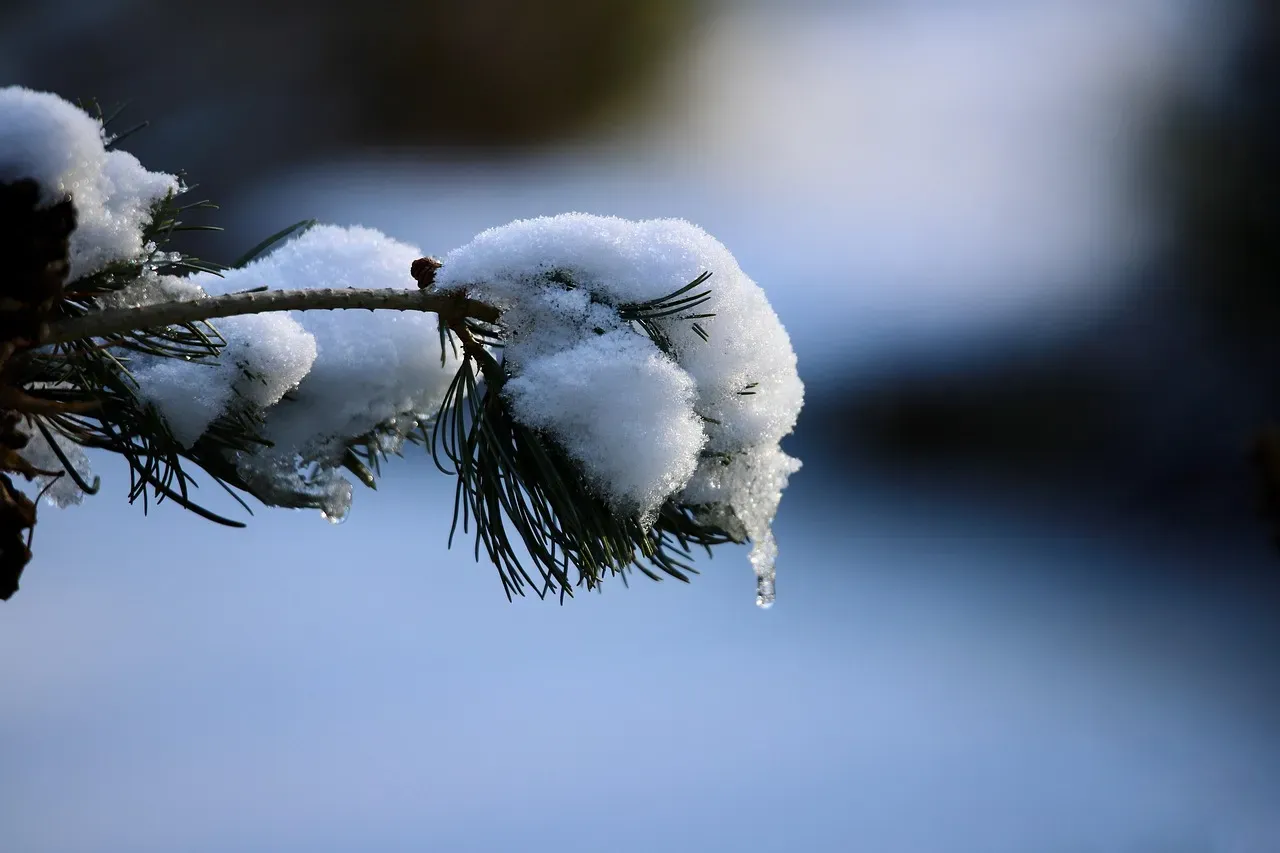 10. Permafrost Would Begin to Thaw (Image Credits: Pixabay)