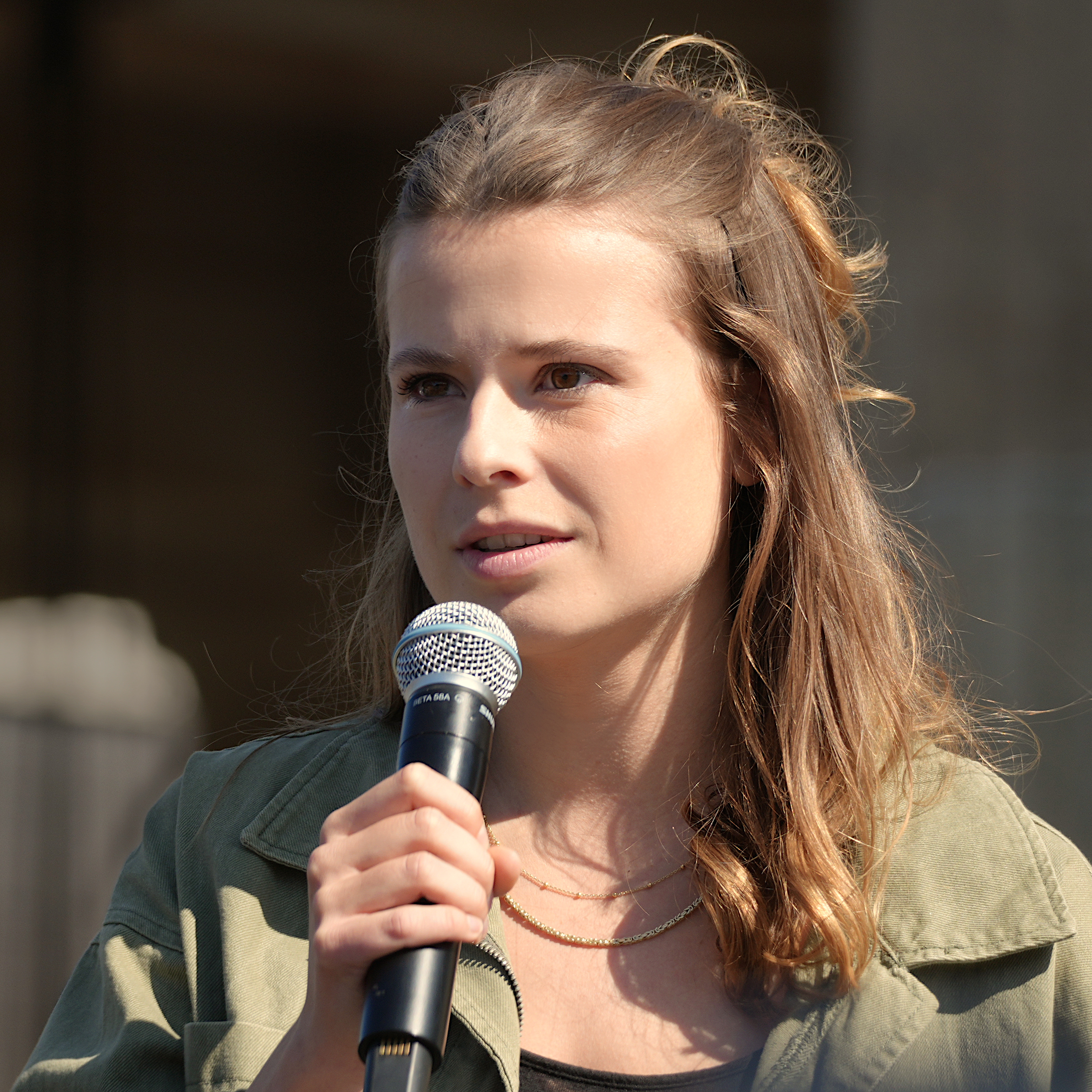 The Battle Against Misinformation (image credits: wikimedia)