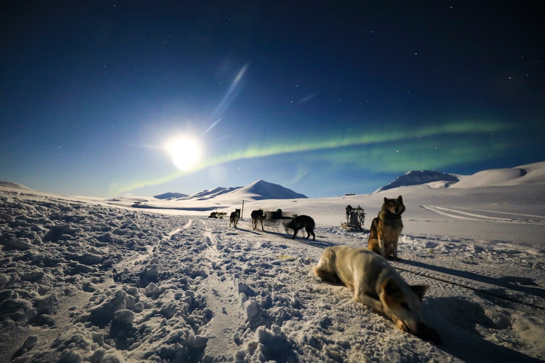 Modern Magnetic Field Changes and Climate Implications (image credits: unsplash)