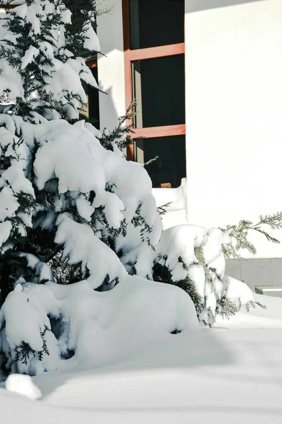 10. Warmer Climates Can Produce Heavier Snowfall (Image Credits: Unsplash)