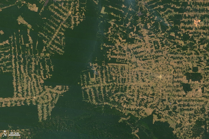Countries Losing Forests Fast: Brazil (Continued Threats) (image credits: wikimedia)