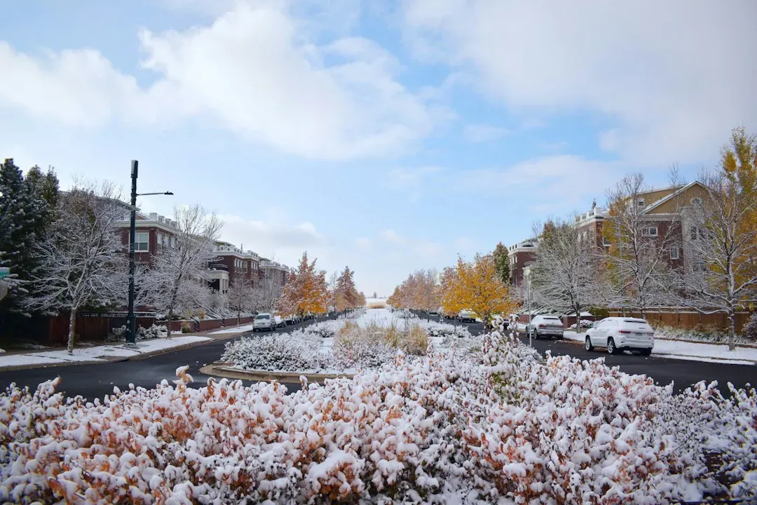 When To Expect The First Frost In Major US Cities This Fall – Climate ...