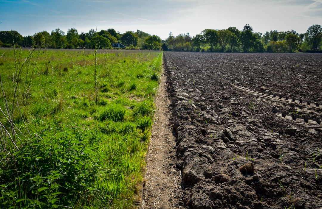 Carbon Storage Powerhouse Hiding Underground (image credits: unsplash)