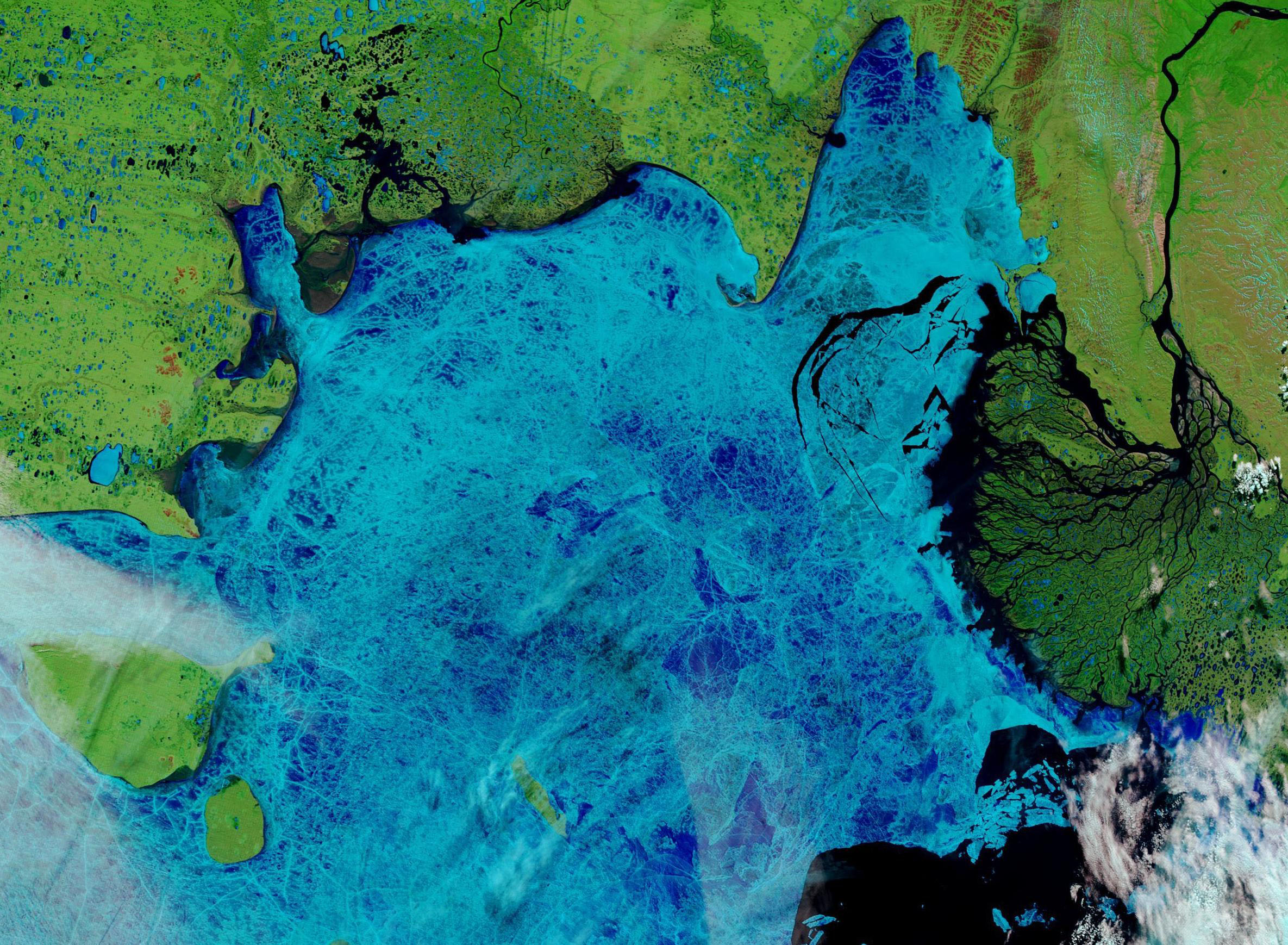Transforming Landscapes: Thermokarst and Ecosystem Disruption (image credits: wikimedia)