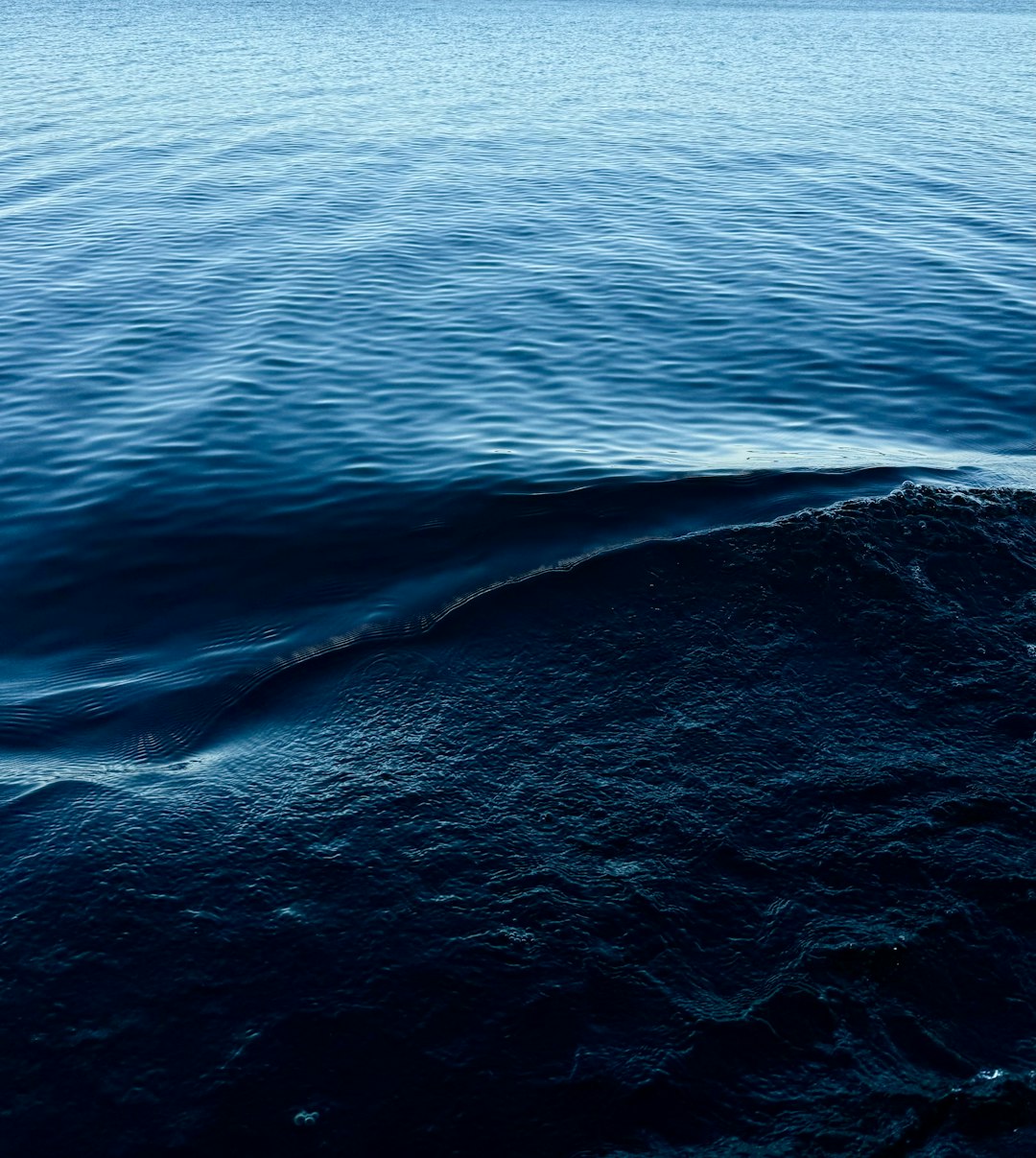 Temperature Differences Drive Ocean Circulation (image credits: unsplash)