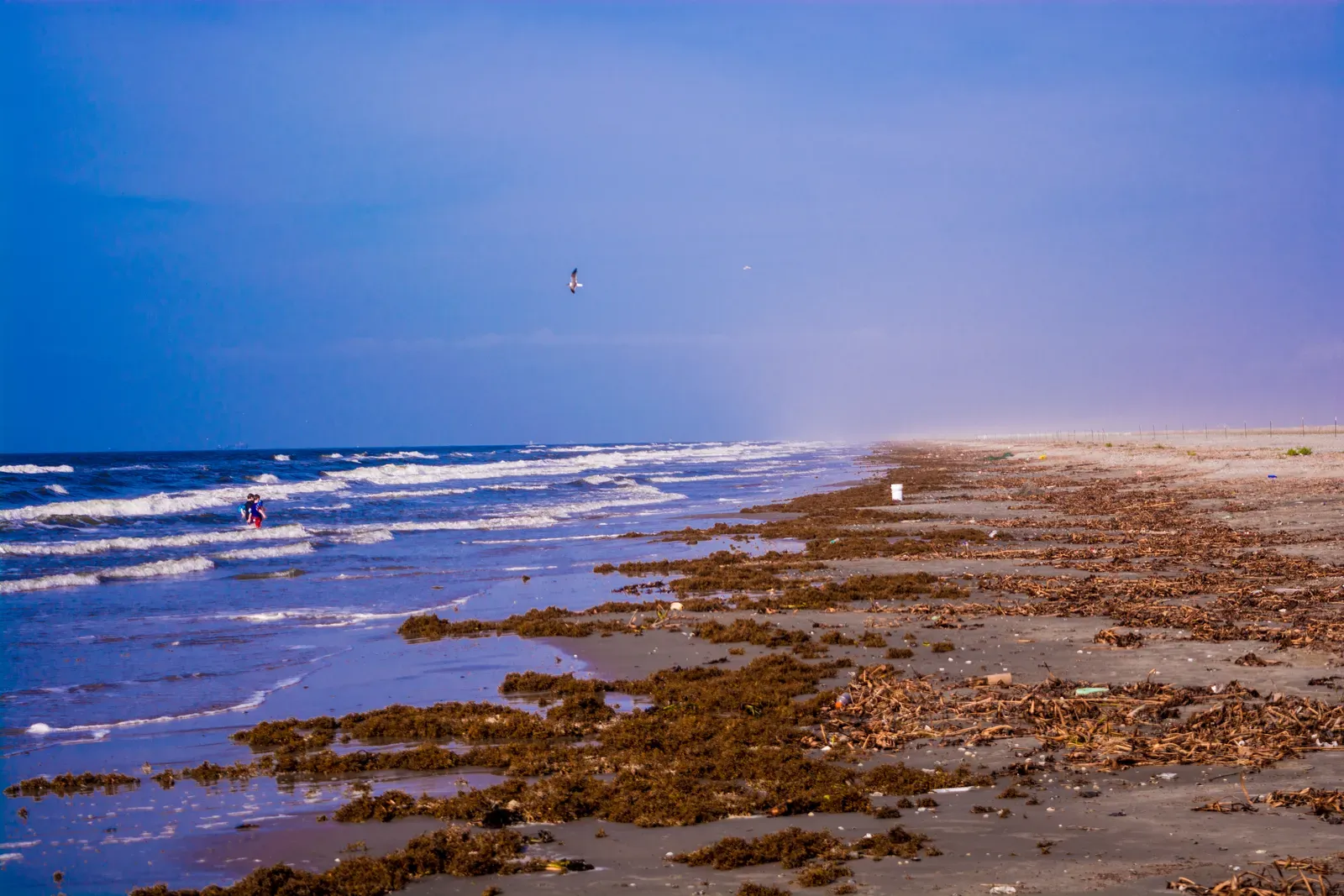 Louisiana (Imported from 500px (archived version) by the Archive Team. (detail page), CC BY 3.0)