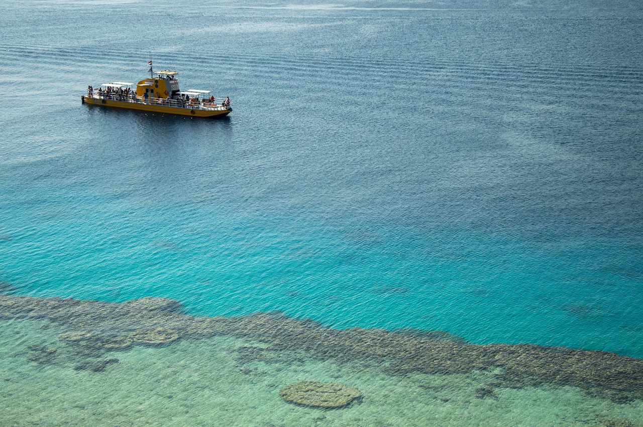 The Giant Ocean Thermometer Disrupts Everything (image credits: pixabay)