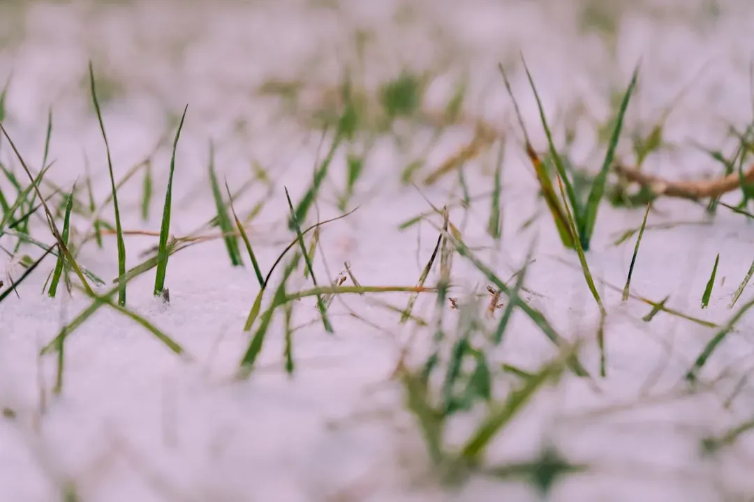 Understanding the Basics of the Polar Vortex (Image Credits: Unsplash)