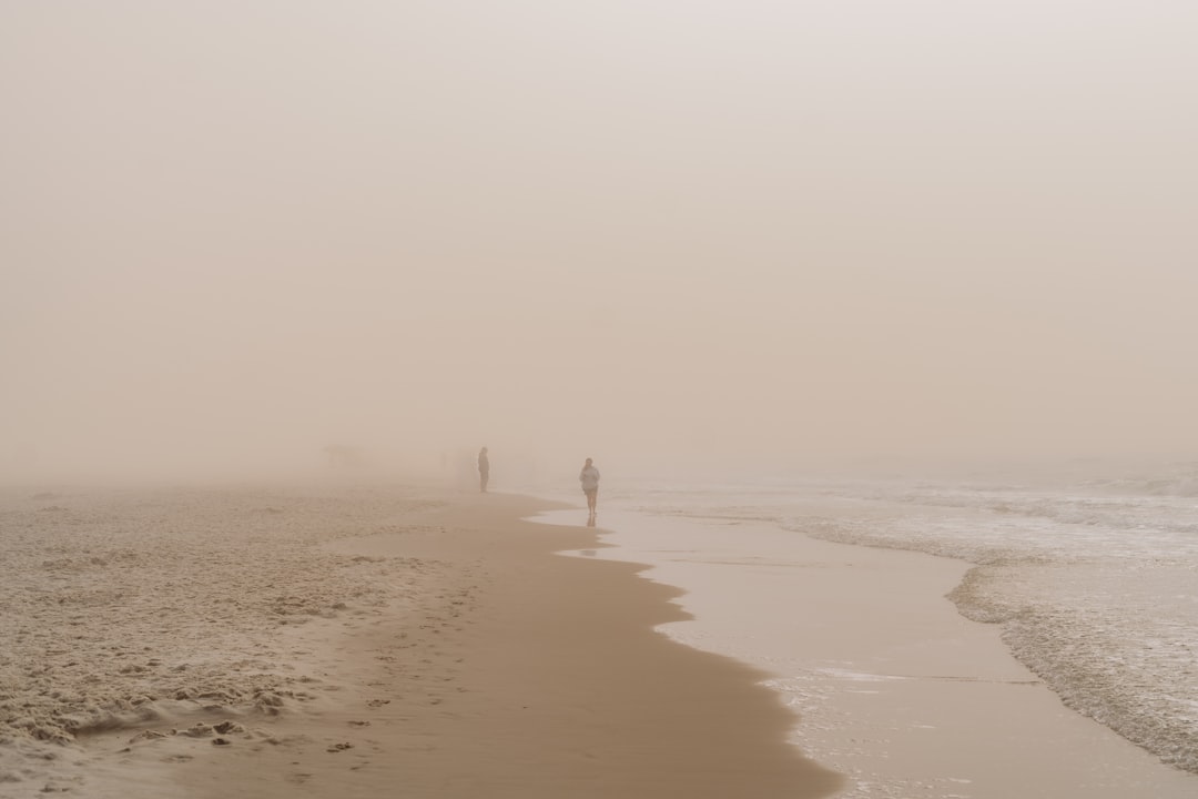 Research Advances and Future Monitoring (image credits: unsplash)