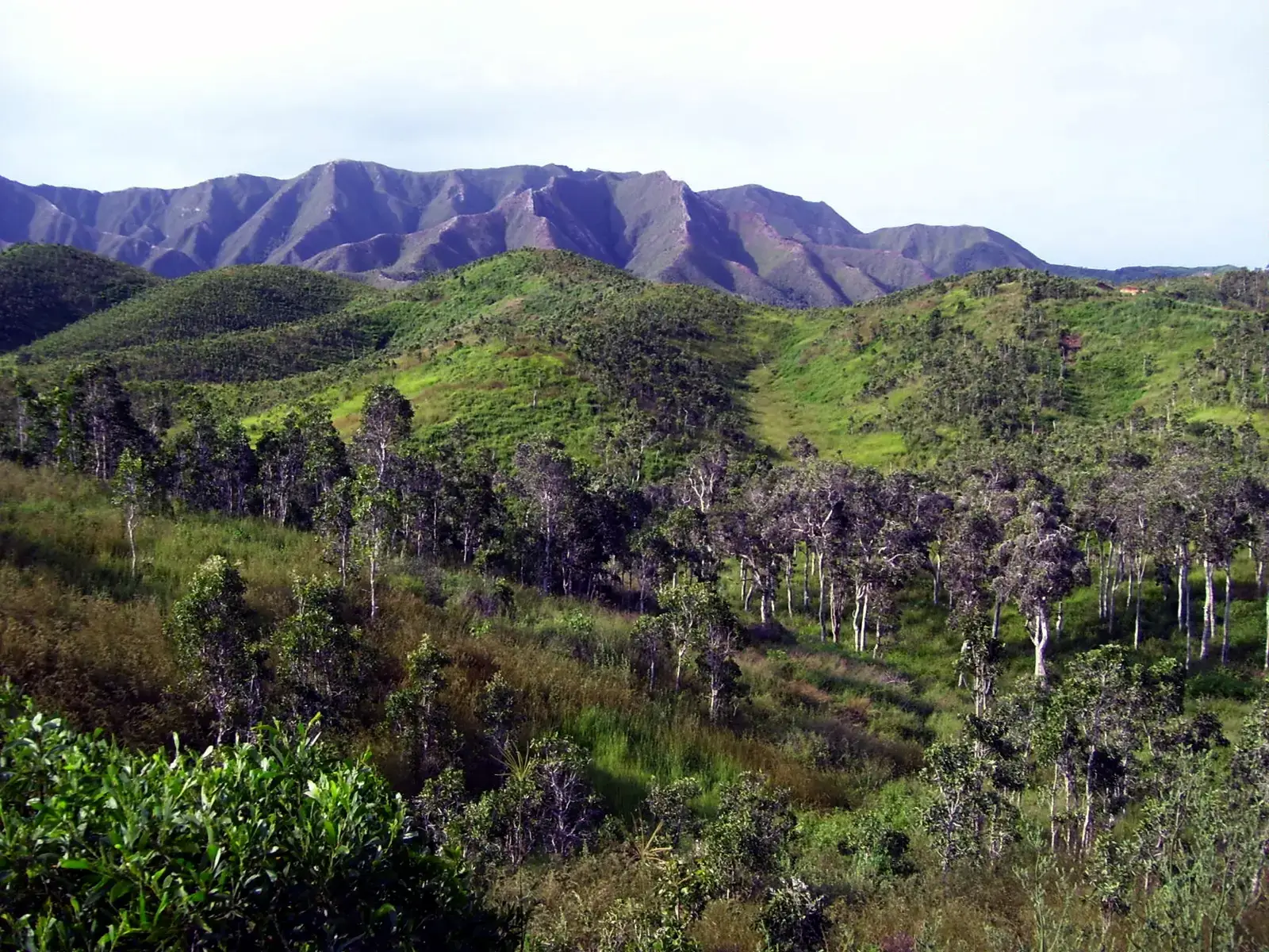 6. New Caledonia - The World's Highest Protected Land Share (By Barsamuphe, CC BY 3.0)