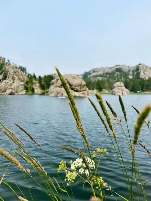 1. Spearfish, South Dakota (Image Credits: Pexels)