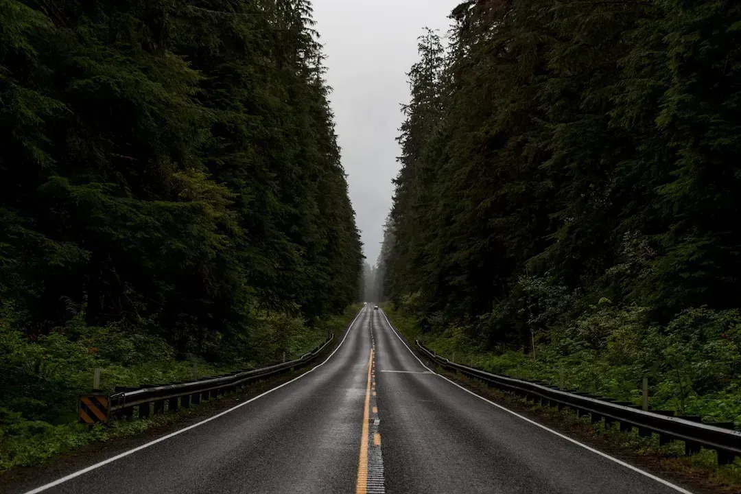 7. The Pacific Northwest (Western Washington and Oregon) (Image Credits: Unsplash)