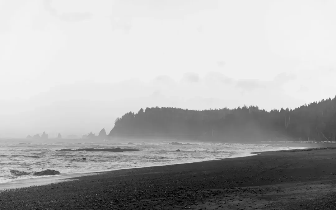 What the fog means for boaters, drivers and daily life (Image Credits: Unsplash)