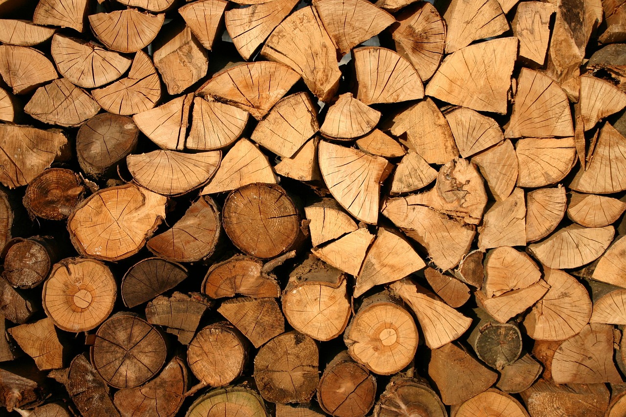 Impact of Deforestation and Land Use Changes (image credits: pixabay)