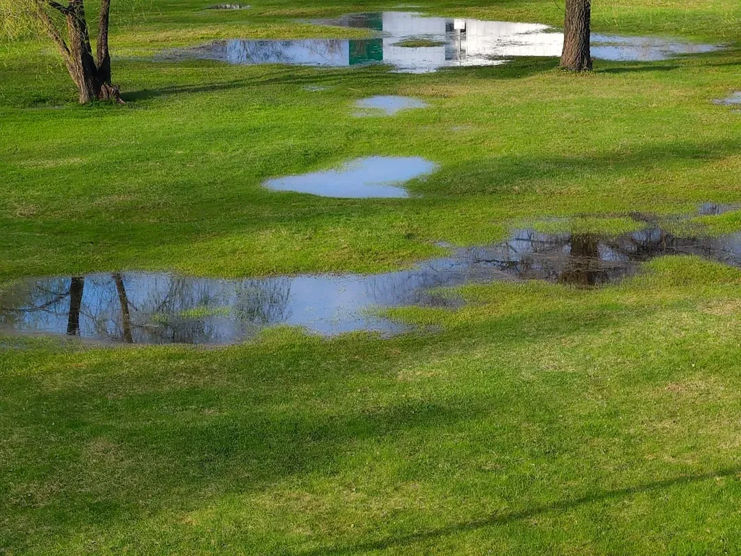 The Atlantic Coastal Plain Aquifer: Saltwater, Sinking Land, and Suburban Demand (Image Credits: Unsplash)