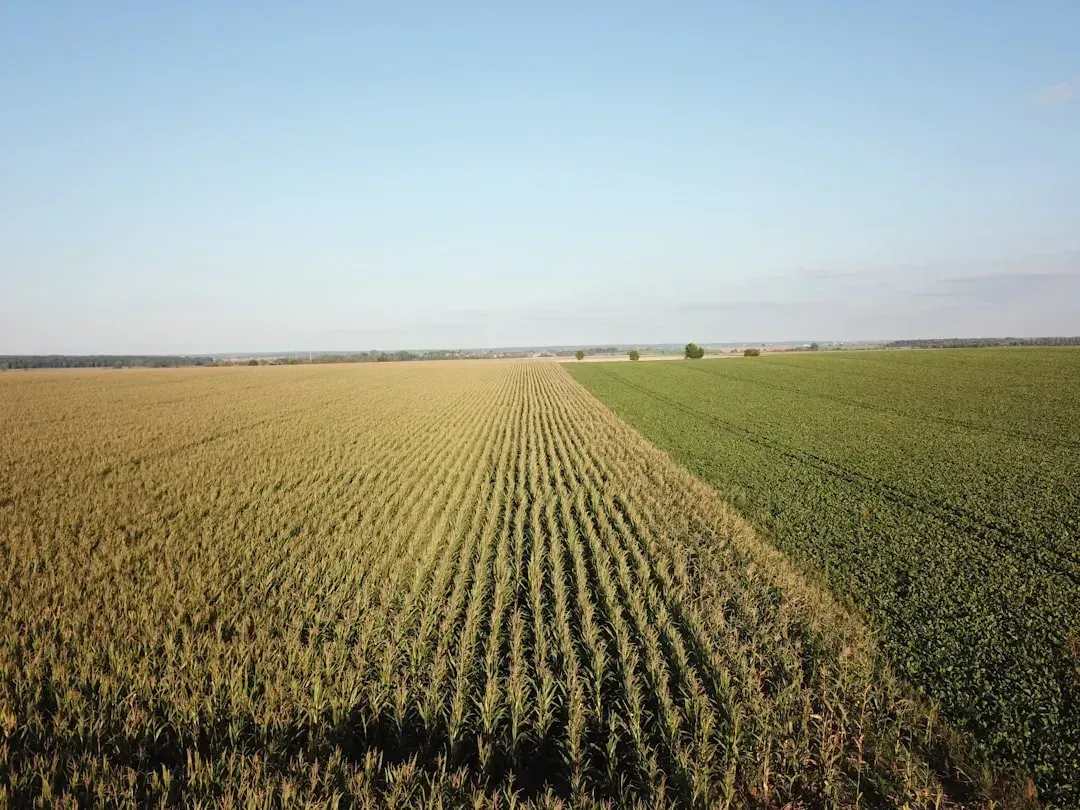 The Growing Season Is Already Getting Longer (Image Credits: Unsplash)