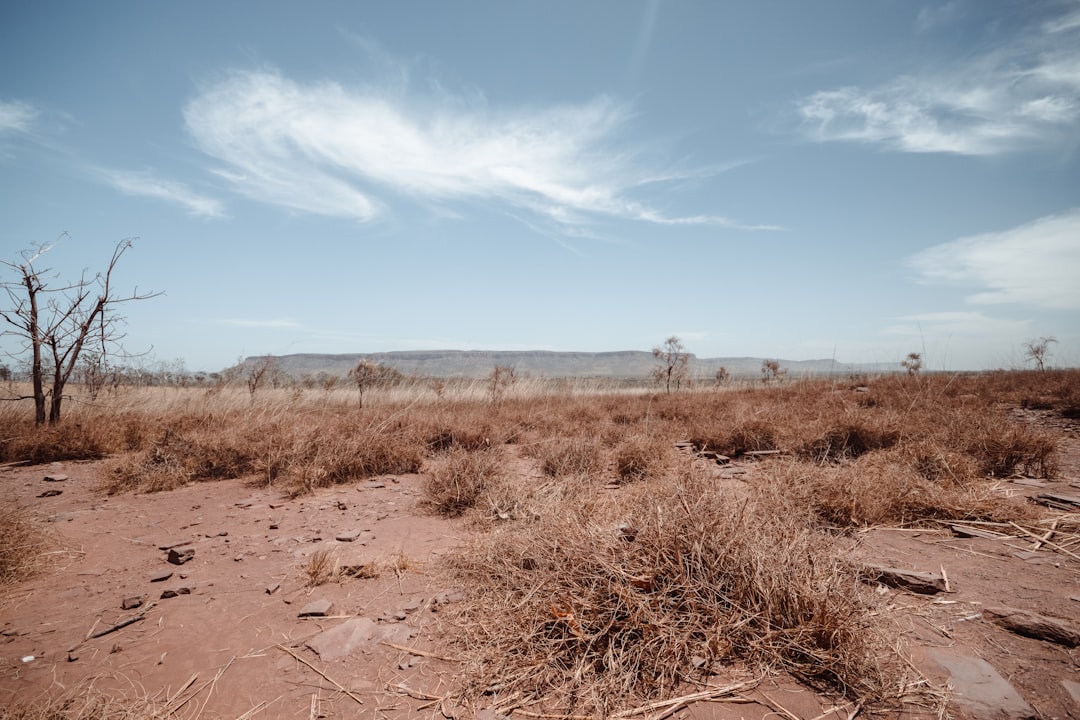Australia's Northeastern Regions Face Unexpected Dry Conditions (image credits: unsplash)