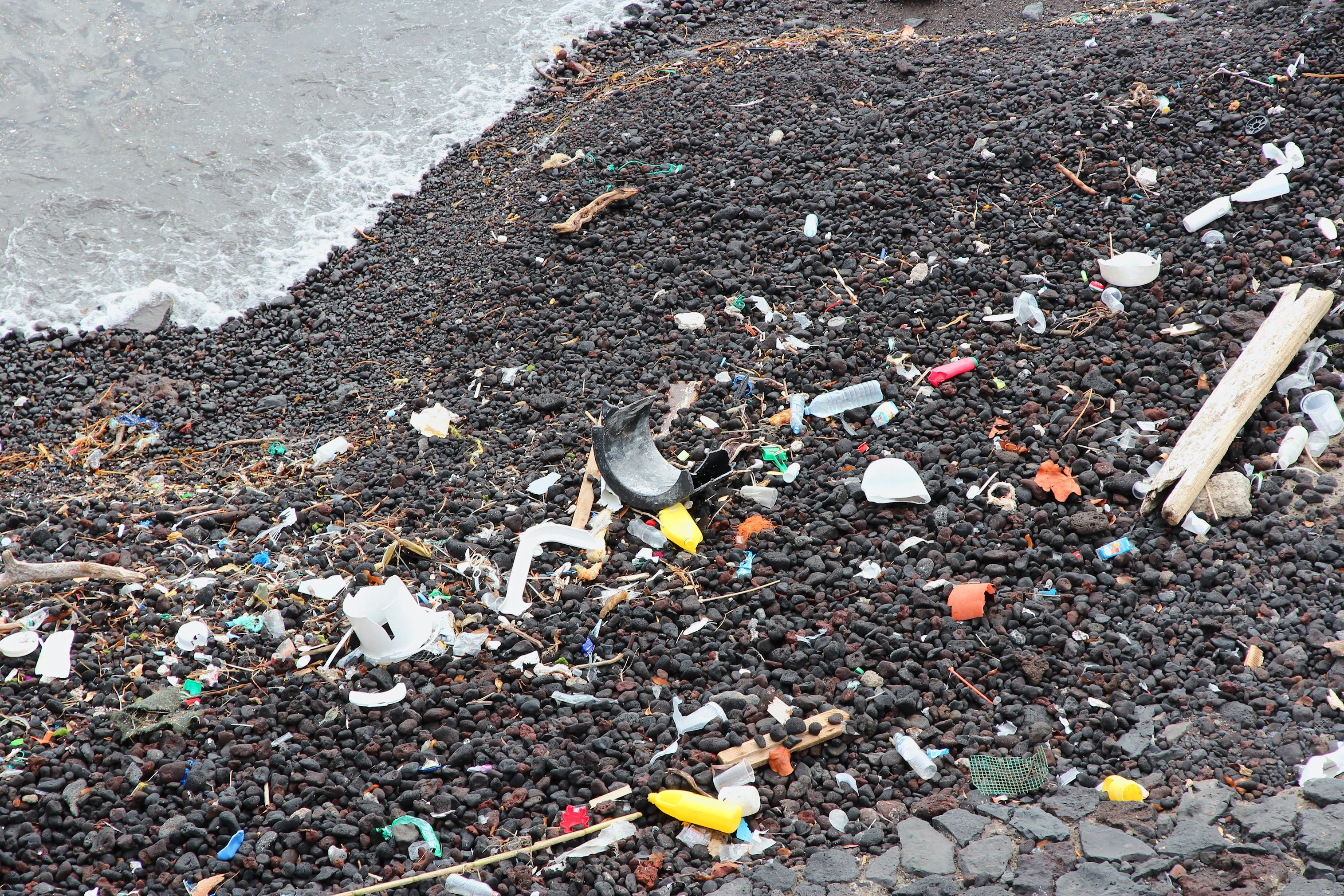Recycling: The Broken Promise (image credits: wikimedia)