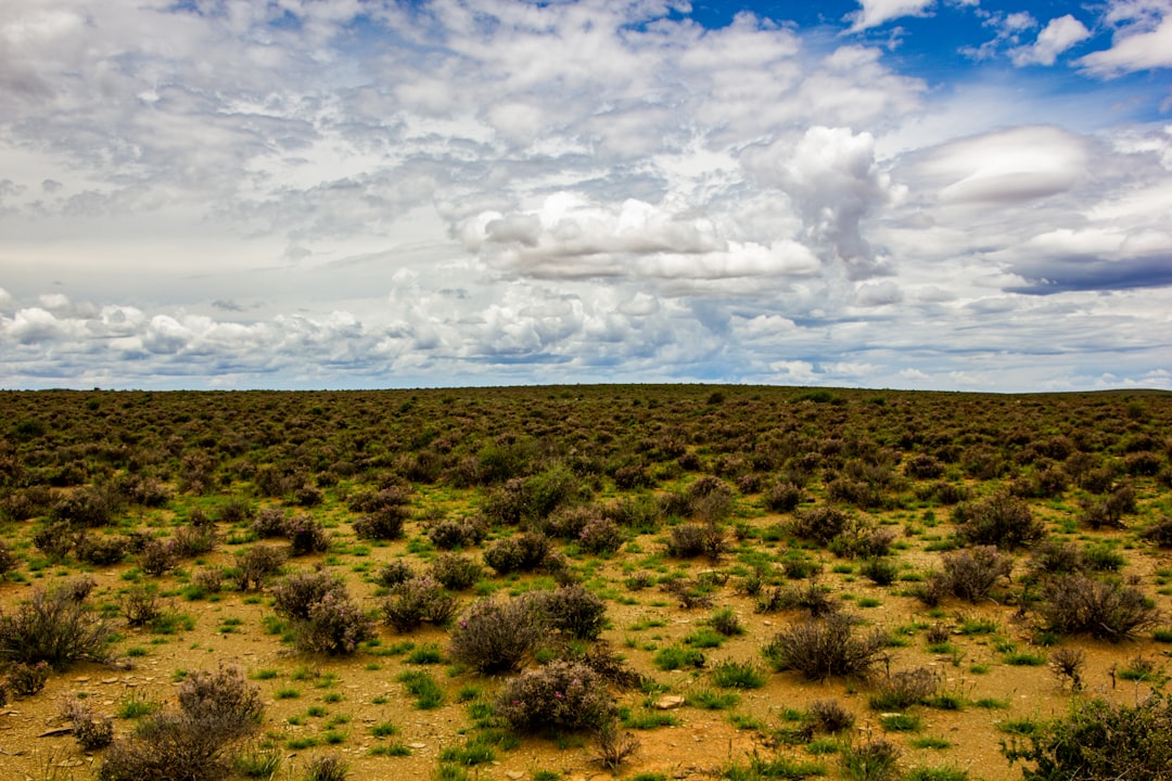 Northwest U.S. Gets Wet, Southwest Stays Parched (image credits: unsplash)