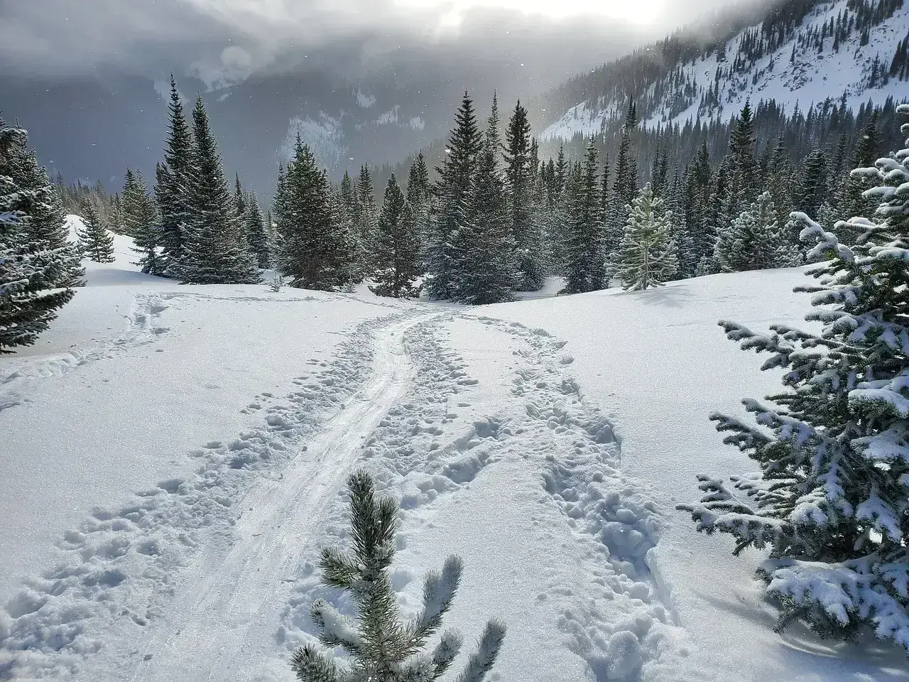 12. Colorado (Image Credits: Pixabay)