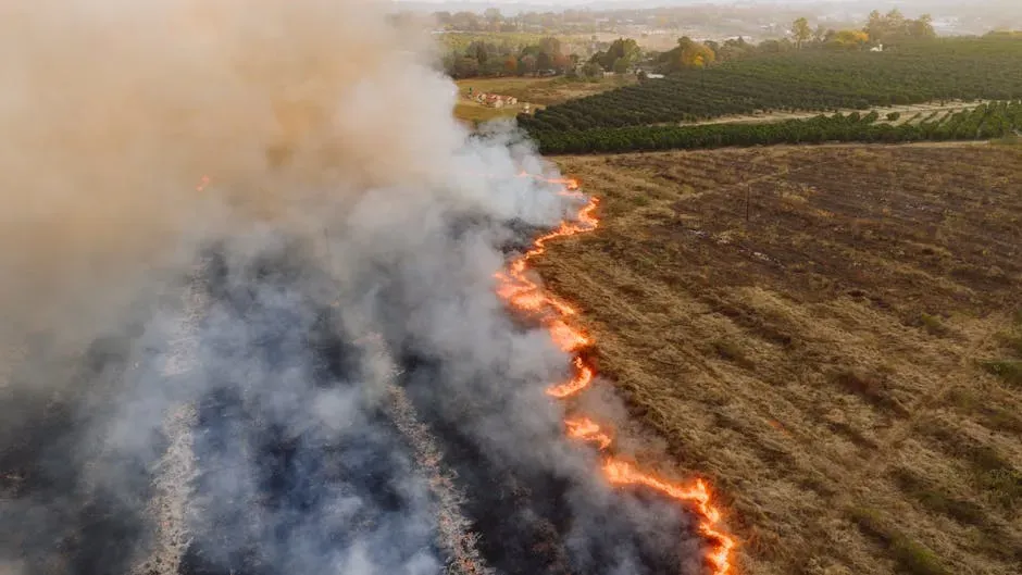 6. Western U.S. Arid and Semi-Arid Zones: The Drought-Fire Double Threat (Image Credits: Pexels)