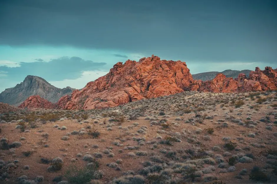 Las Vegas and Reno: Two Faces of the Same Dry State (Image Credits: Pexels)