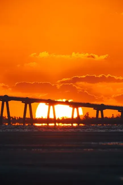 The Gulf Coast: When Humidity Makes Heat Deadly (Image Credits: Pexels)