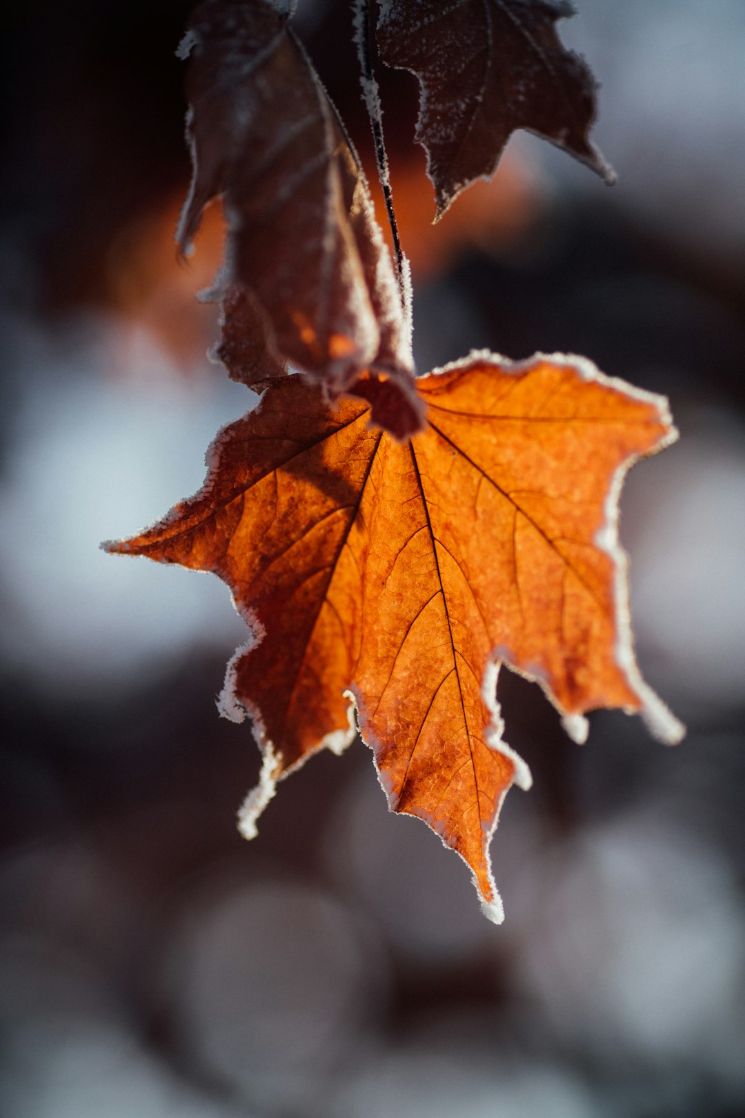 How Strong And How Long (image credits: unsplash)