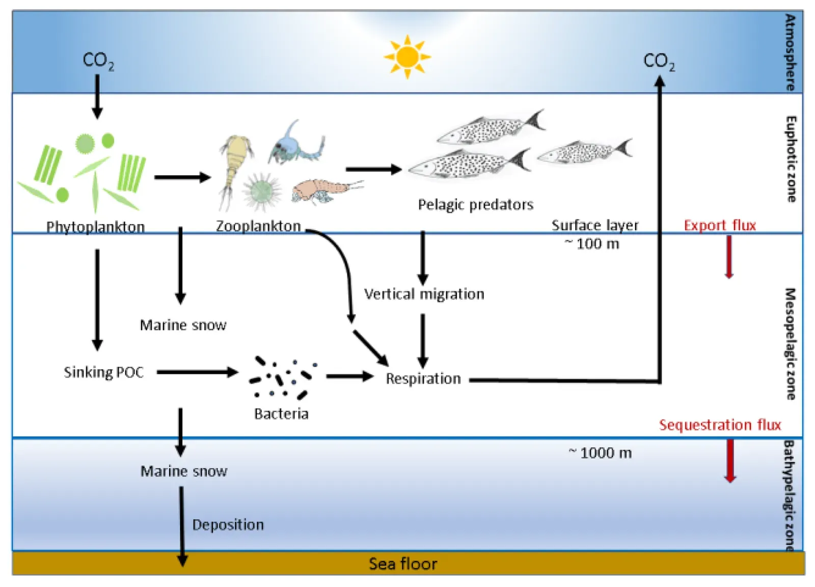 Carbon Sinks Are Weakening at the Worst Possible Time ([1]

doi:10.3390/su10030869, CC BY-SA 4.0)