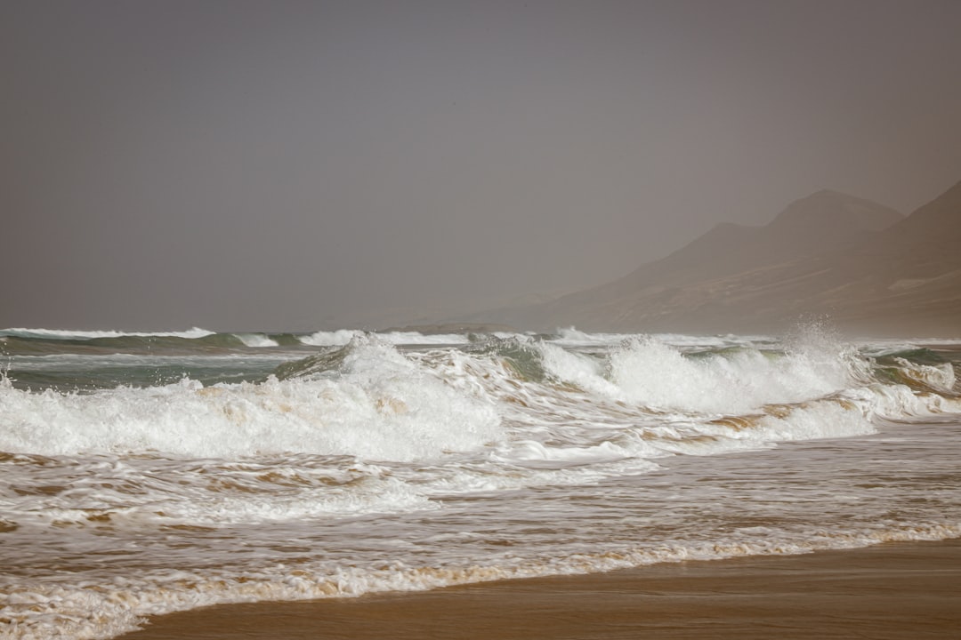 Another Wave Emerging From Africa (image credits: unsplash)