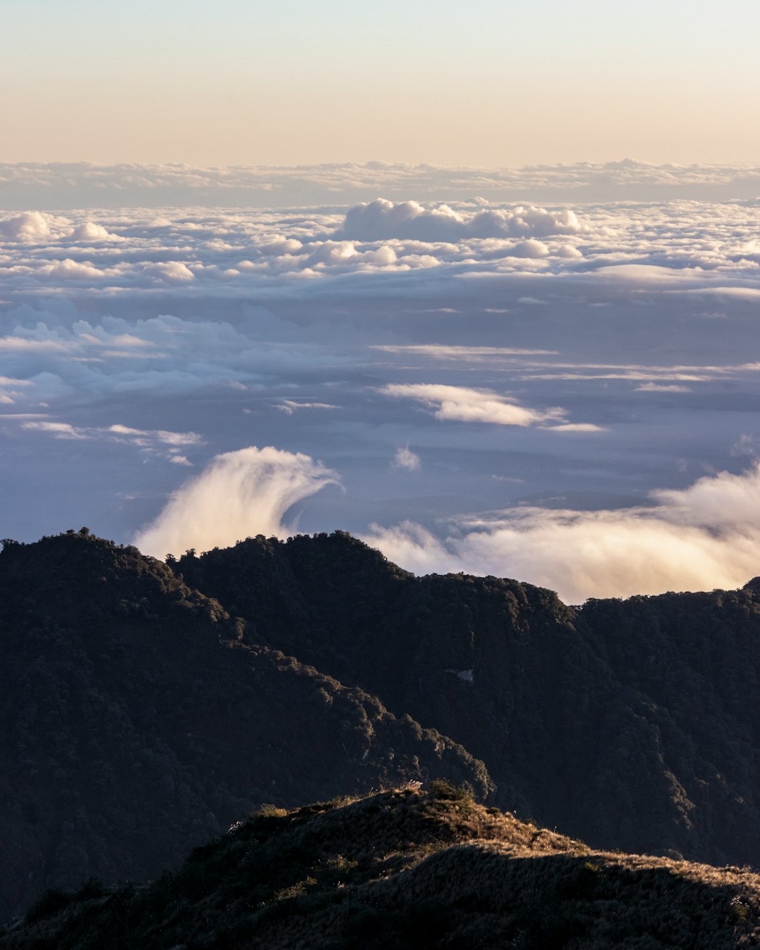 The Green Ocean's Biological Cloud Factory (image credits: unsplash)