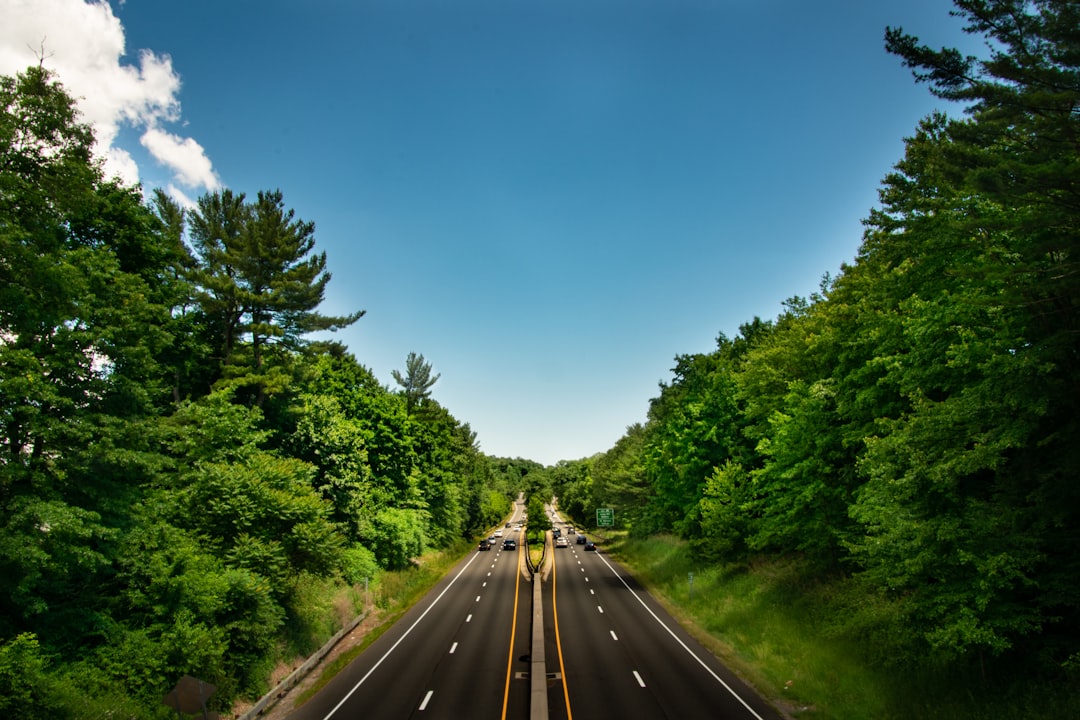 Health at Risk: Heatwaves Hit Home in Connecticut (image credits: unsplash)