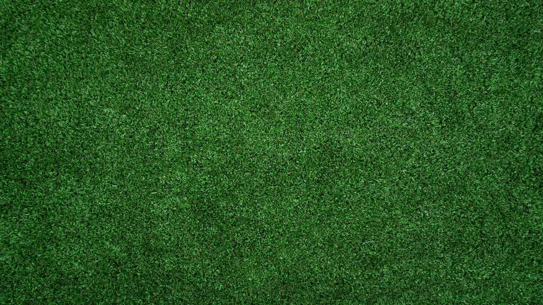 The Turf Removal Movement Gains Momentum (Image Credits: Unsplash)