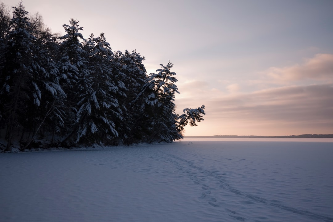 Minnesota – Land of 10,000 Lakes and Lots of Snow (image credits: unsplash)