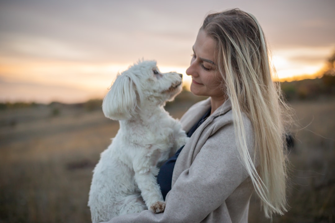 The Attachment Styles Your Dog Actually Has (image credits: unsplash)