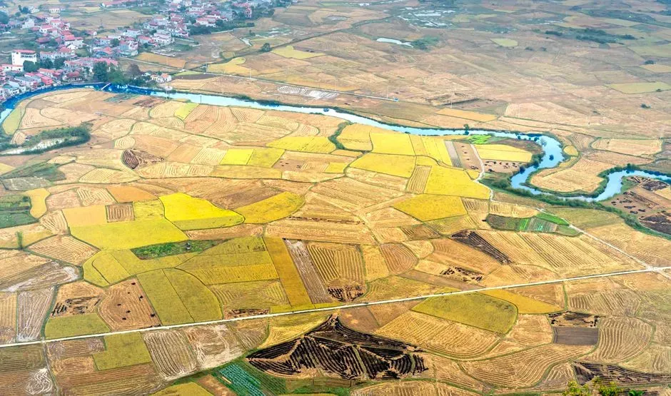 A shifting map, not a disappearing harvest (Image Credits: Pexels)