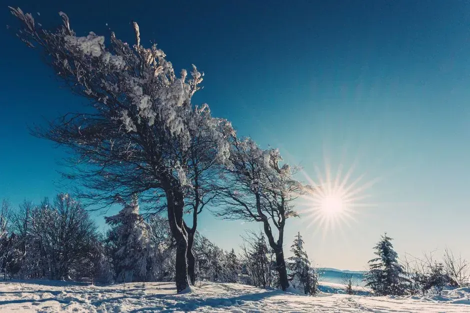 Overshoot: crossing the line without staying there (Image Credits: Pexels)
