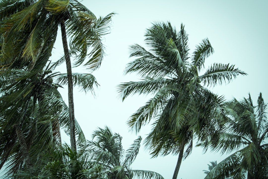 Conditions Favoring Growth (image credits: unsplash)