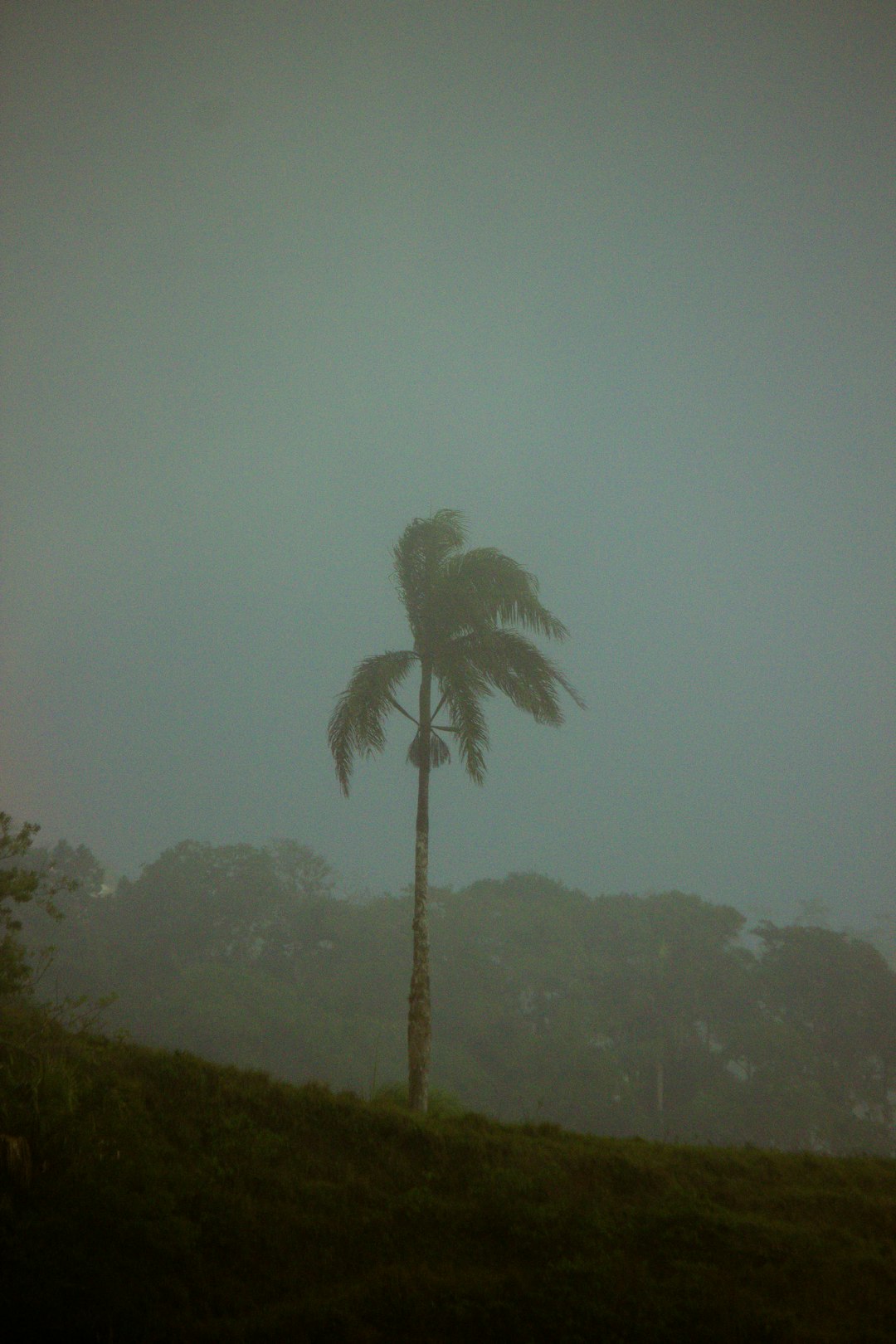 Possible Track Toward Bermuda (image credits: unsplash)
