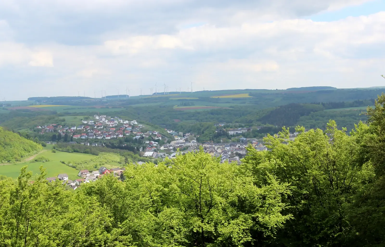 3. Luxembourg - Europe's Quiet Conservation Leader (By Colling-architektur, CC BY-SA 3.0)
