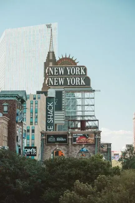 14. New York (Image Credits: Pexels)