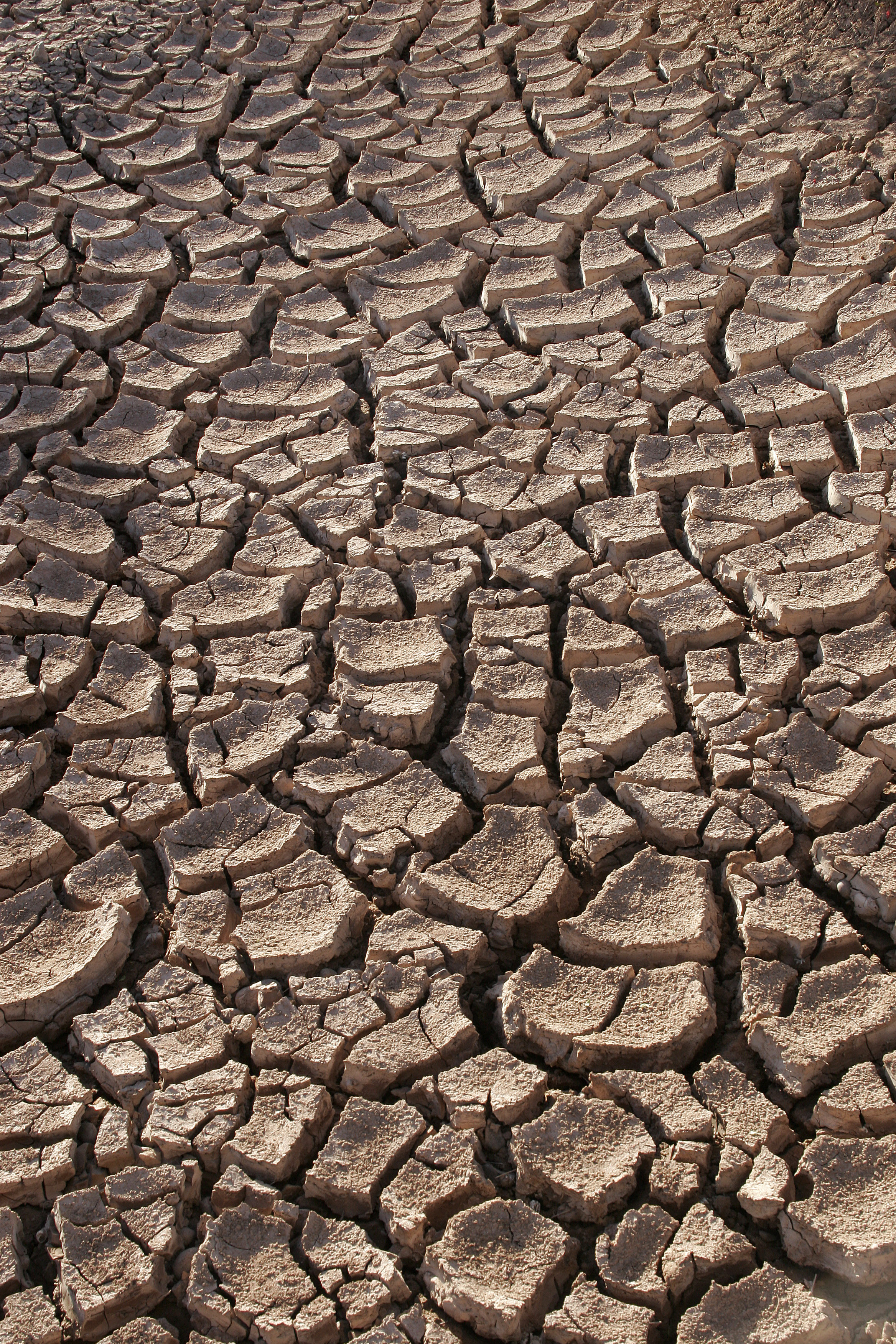 Syria: War’s Shadow Over Climate Adaptation (image credits: wikimedia)