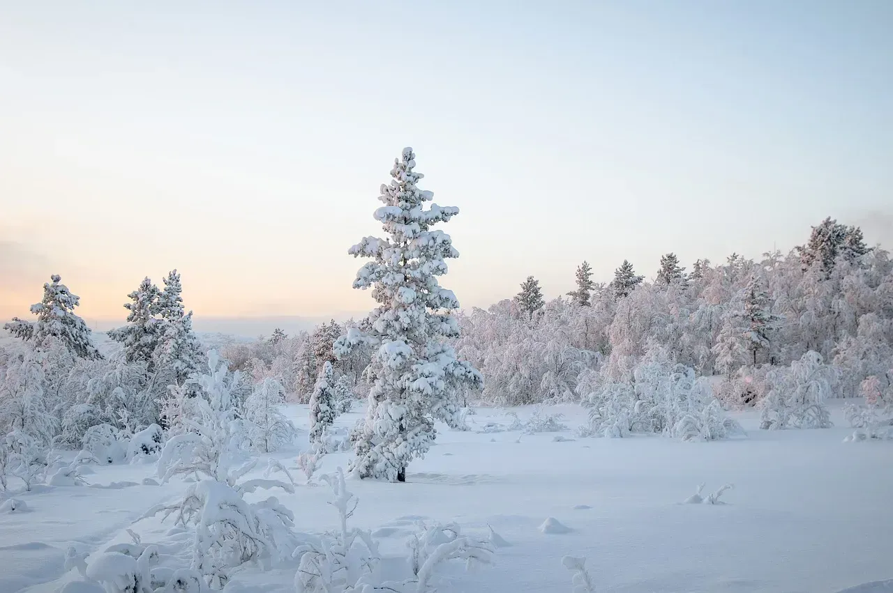 2. North Dakota (Image Credits: Pixabay)