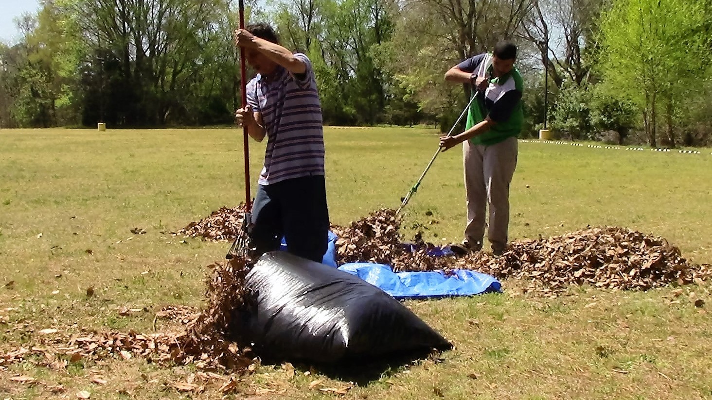 Job Creation: Composting’s Unexpected Economic Perk (image credits: wikimedia)