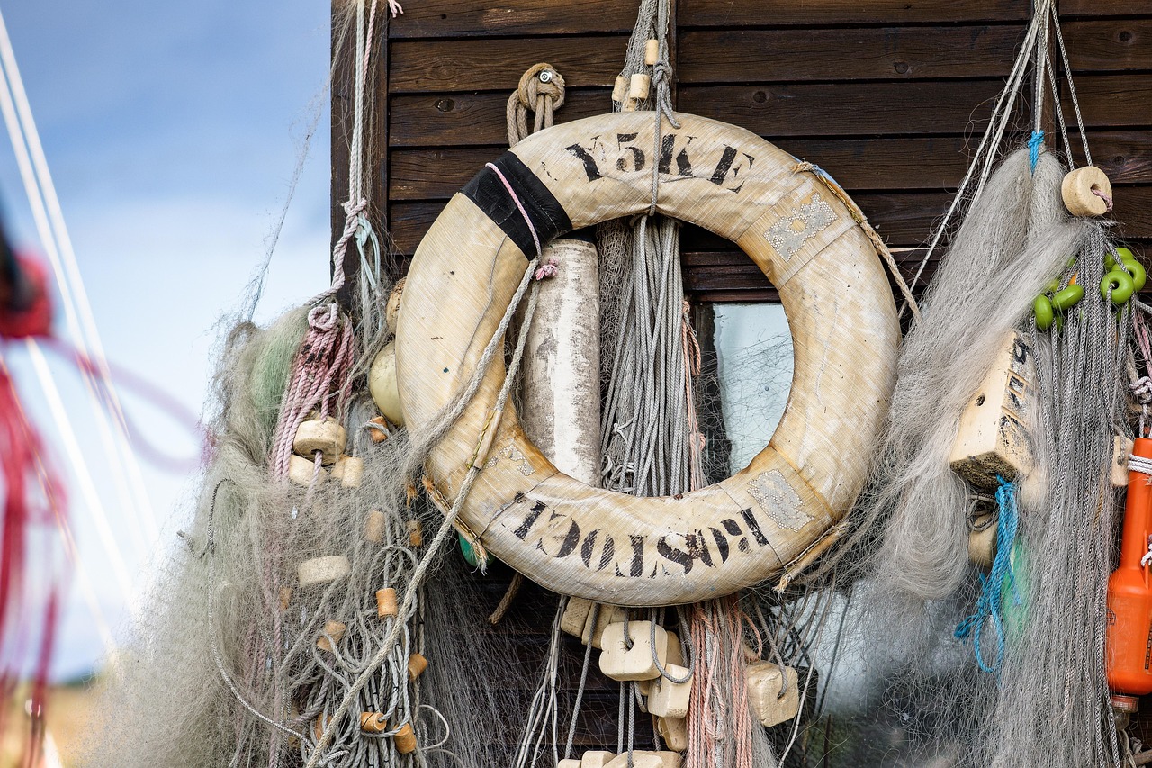 Technology Transforms Fisheries Management (image credits: pixabay)