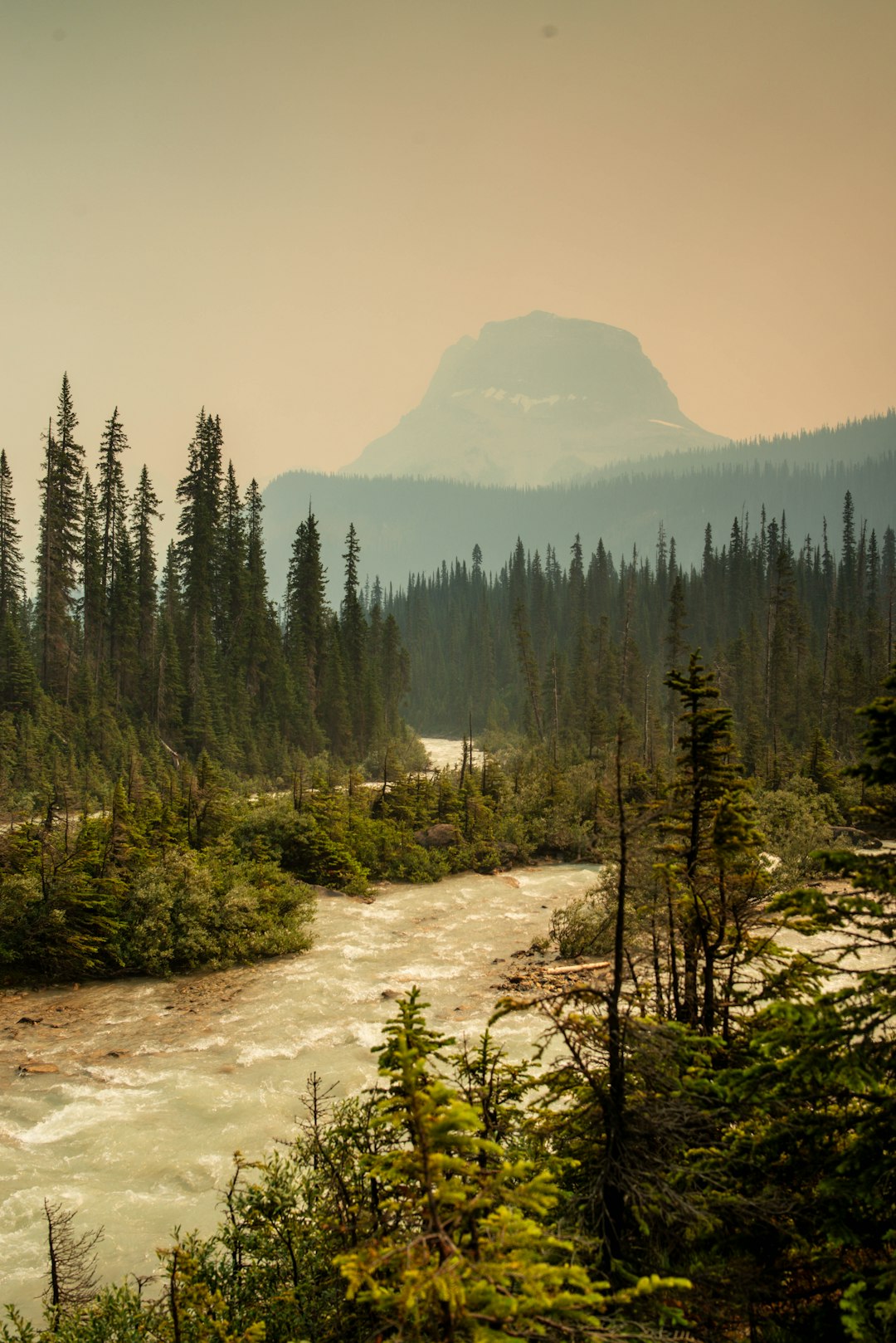 The Canadian Catastrophe - Record-Breaking Forest Fires Change The Game (image credits: unsplash)