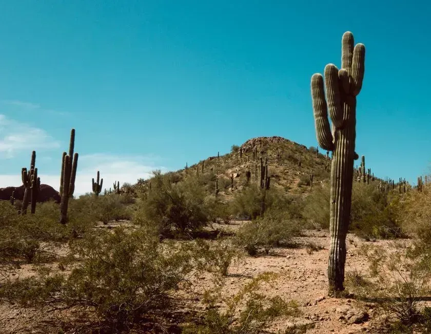 Phoenix, Arizona (Image Credits: Pexels)